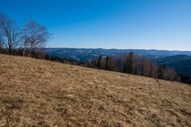 Baharın başlarında dağlarda çayır, Beskydy Dağları Çech