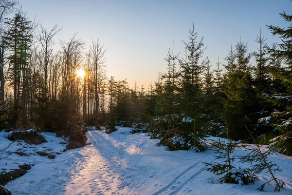 Zonneschijn Een Wandelpad Bergen Winter — Stockfoto