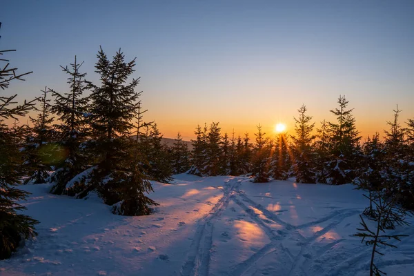 sunshine on a hiking path in the mountains in winter