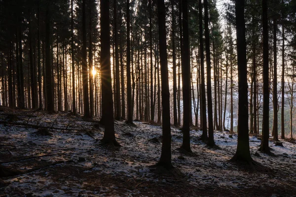 shining sun into the forest in the morning mountains, czech beskydy