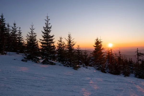Nascer Sol Nas Montanhas Com Árvores Trilhas Esquis Neve — Fotografia de Stock