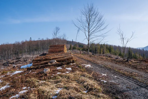 Uma Pilha Tronco Árvore Nas Montanhas Pronto Para Transporte — Fotografia de Stock