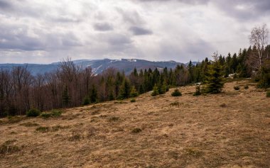 Ormanlı dağlarda çayır ve arka planda dağ zirveleri, Polonya Beskidy