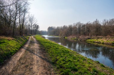 Nehir ve ağaç çevresindeki toprak yol czech / poland sınırı