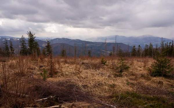 Wiese Gebirge Mit Wald Und Berggipfeln Hintergrund Beskiden — Stockfoto