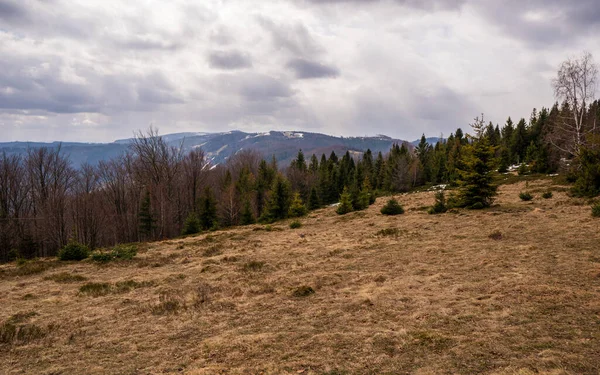 Meadow in mountains with forest and mountain peaks in background, Poland Beskidy