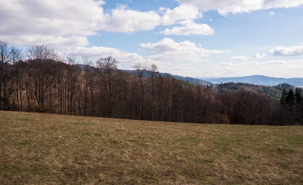 Meadow in mountains with forest and mountain peaks in background, Poland Beskidy