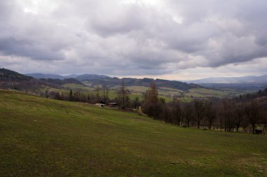 Ormanlı dağlarda çayır ve arka planda dağ zirveleri, Polonya Beskidy