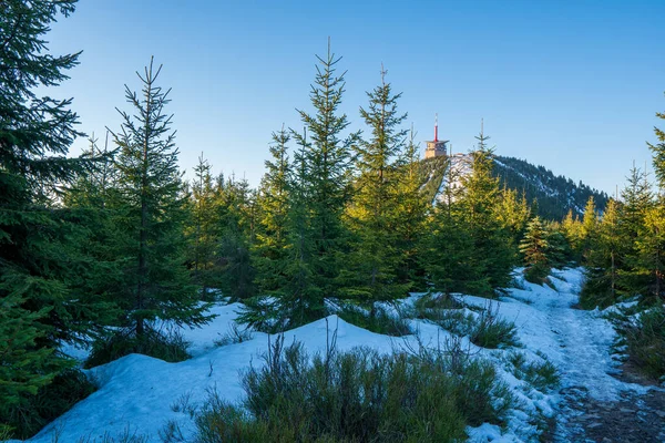 Sender Auf Lyse Frühen Morgen Den Beskiden Tschechische Beskiden Lysa — Stockfoto