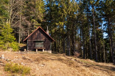 Sabah güneşiyle aydınlatılan ormandaki kulübede.