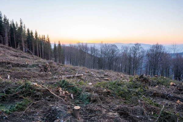 Nascer Sol Nas Montanhas Com Árvores Primeiro Plano Checo Beskydy — Fotografia de Stock