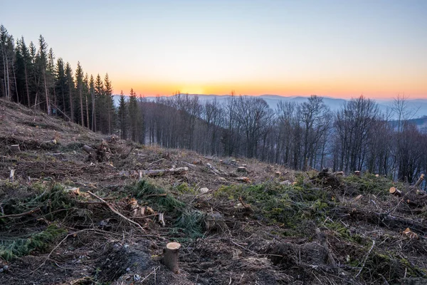 sunrise in the mountains with trees in the foreground, czech beskydy