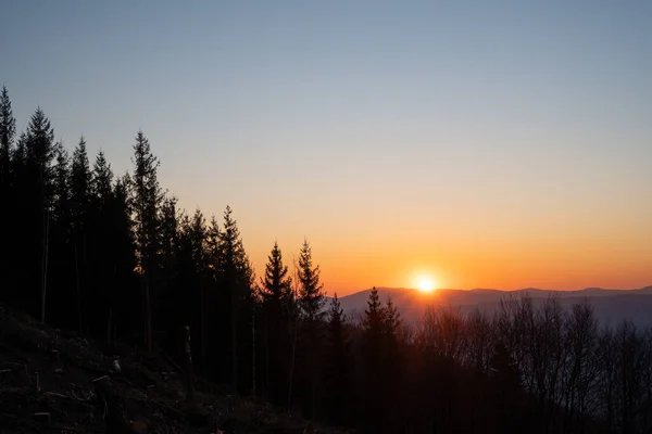 sunrise in the mountains with trees in the foreground, czech beskydy