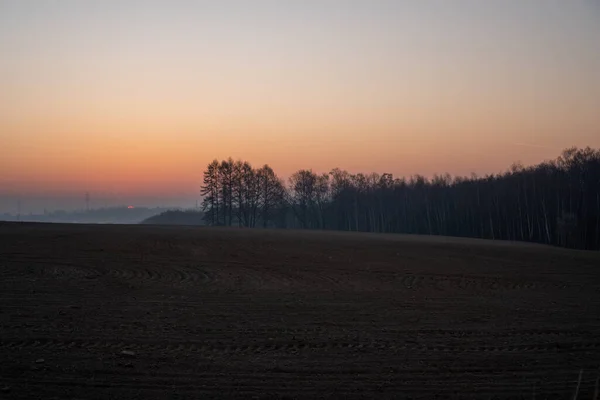 Schönes Feld Bei Sonnenaufgang Mit Wald Hintergrund — Stockfoto