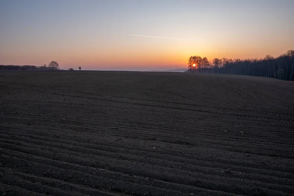 Sonnenaufgang Auf Einem Feld Bereit Für Setzlinge Mit Bäumen Hintergrund — Stockfoto