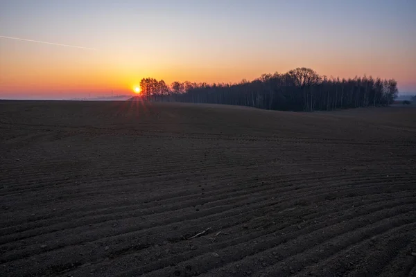 Sonnenaufgang Auf Einem Feld Bereit Für Setzlinge Mit Bäumen Hintergrund — Stockfoto