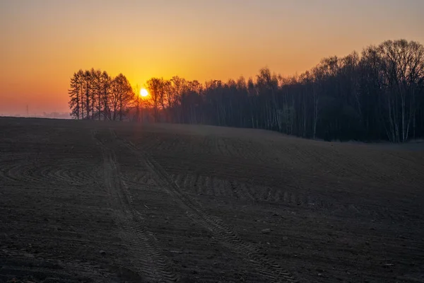 Sonnenaufgang Auf Einem Feld Bereit Für Setzlinge Mit Bäumen Hintergrund — Stockfoto