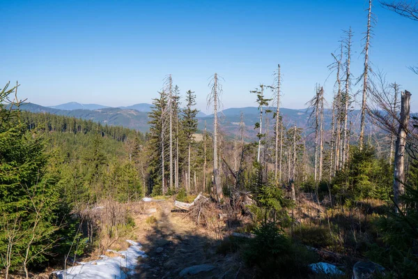 Alte Waldruinen Auf Dem Gipfel Des Berges Tschechisch Slowakische Grenze — Stockfoto