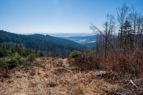 Blick Auf Mit Fichten Bewachsene Hügel Und Täler Den Tschechischen — Stockfoto