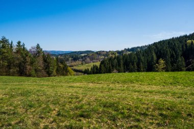 Güneşli bir günde etrafındaki ağaçlar ve ormanlarla dağlarda çayır.