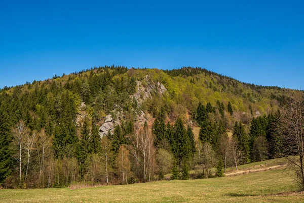 meadow with trees on the hill and rocks on a sunny day