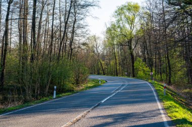 Bahar ormanında virajlı bir yol