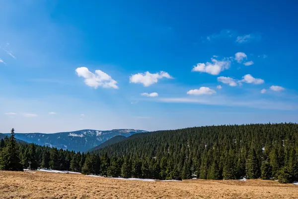 Bela Vista Das Montanhas Cobertas Abetos Com Belo Céu Nas — Fotografia de Stock