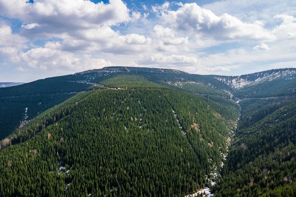 Прекрасный Вид Горы Покрытые Еловыми Деревьями Красивым Небом Есениках Чех — стоковое фото