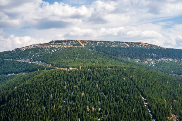 Прекрасный Вид Горы Покрытые Еловыми Деревьями Красивым Небом Есениках Чех — стоковое фото