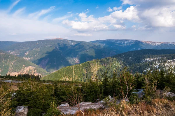 Fichtenwälder Gebirge Mit Schönem Himmel Einem Sonnigen Tag Tschechisches Altvatergebirge — Stockfoto