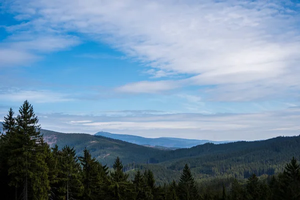 Вид Красивых Еловых Лесов Горах Чех Бескиды — стоковое фото