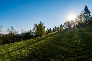 Ormanlı dağların tepesinde güneş ışığı.