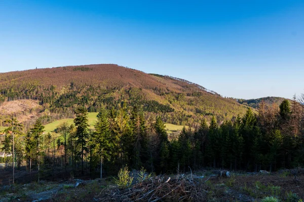 Maly Javornik in Beskydy mountains in spring in spring light