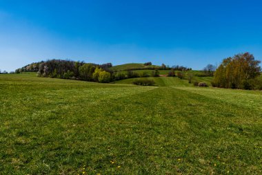 İlkbaharda yeşil çayırlarda çiçek açan ağaçlar, Çek Beskydy