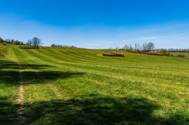 İlkbaharda yeşil çayırlarda çiçek açan ağaçlar, Çek Beskydy