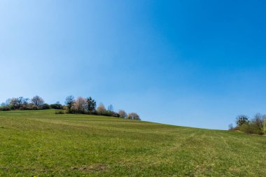 İlkbaharda yeşil çayırlarda çiçek açan ağaçlar, Çek Beskydy