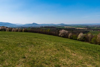 Baharda yeşil otlaklar ve ağaçlar açık bir günde, gökyüzü açık, czech beskydy