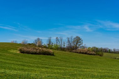 Baharda yeşil otlaklar ve ağaçlar açık bir günde, gökyüzü açık, czech beskydy