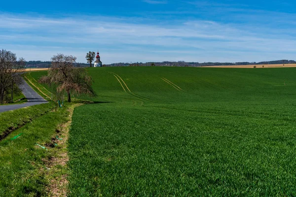 Hermoso Campo Verde Con Carretera Árboles Alrededor Iglesia Colina Hermoso — Foto de Stock