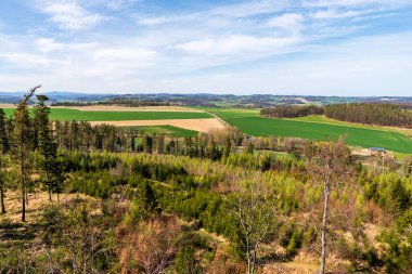 Orman, tarlalar ve güzel gökyüzü güneşli bir günde