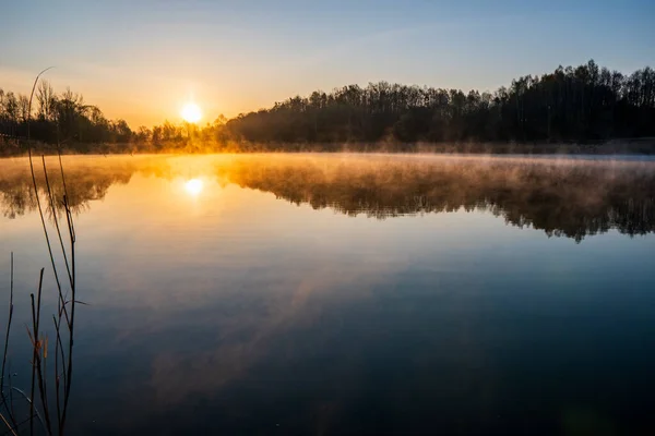 Salida Del Sol Sobre Lago Con Reflejo Árbol Hermosa Niebla — Foto de Stock