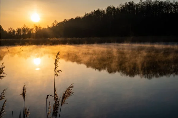 Salida Del Sol Sobre Lago Con Reflejo Árbol Hermosa Niebla — Foto de Stock