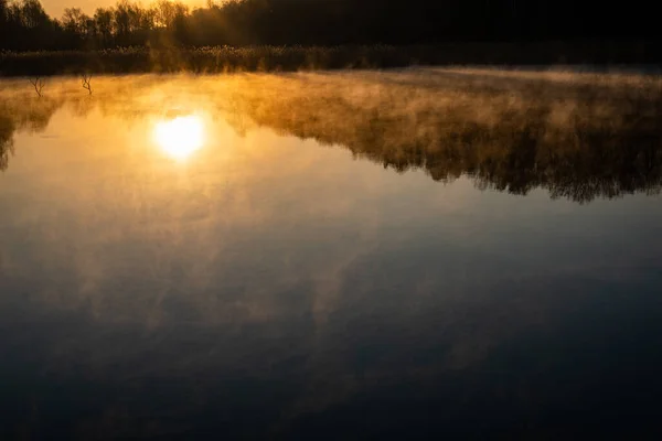 Salida Del Sol Sobre Lago Con Reflejo Árbol Hermosa Niebla — Foto de Stock