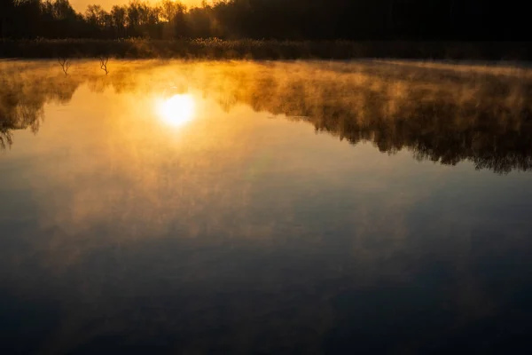 Sunrise Lake Tree Reflection Beautiful Fog — Stock Photo, Image
