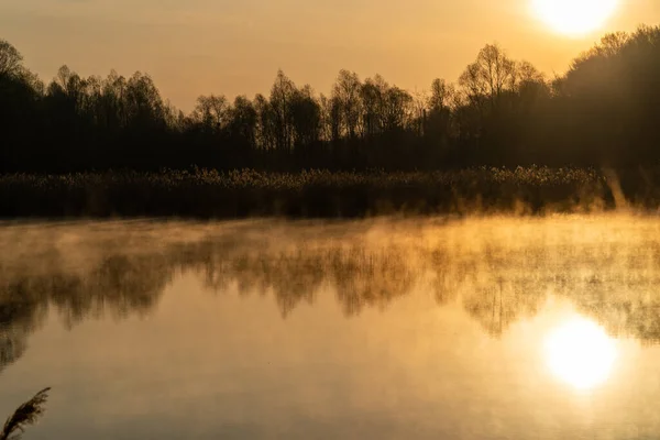 Salida Del Sol Sobre Lago Con Reflejo Árbol Hermosa Niebla — Foto de Stock