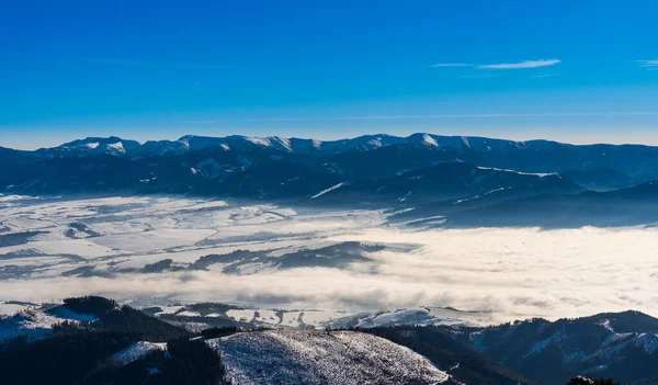 Batı Tatras dağları kışın vadide sisli, Slovakya Velky Choc 12.1.2020