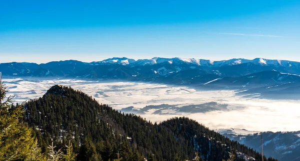 Montagne Dei Tatra Occidentali Nevose Con Nebbia Nella Valle Inverno — Foto Stock