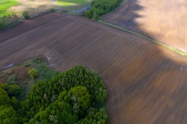 İlkbaharda mısır ektikten sonra tarlanın havadan görünüşü