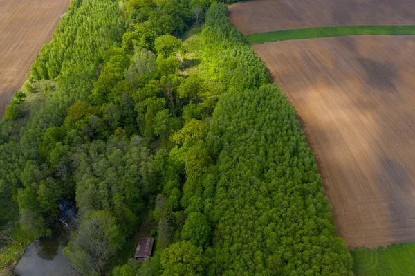 Vista Aérea Los Campos Bosques Primavera Checo —  Fotos de Stock