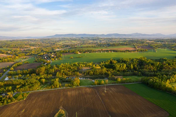 Birkaç evi olan orman ve yeşil alan manzarası.